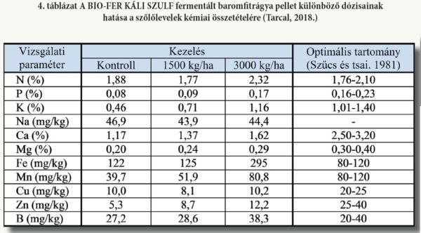 Szolo Levél Kép4